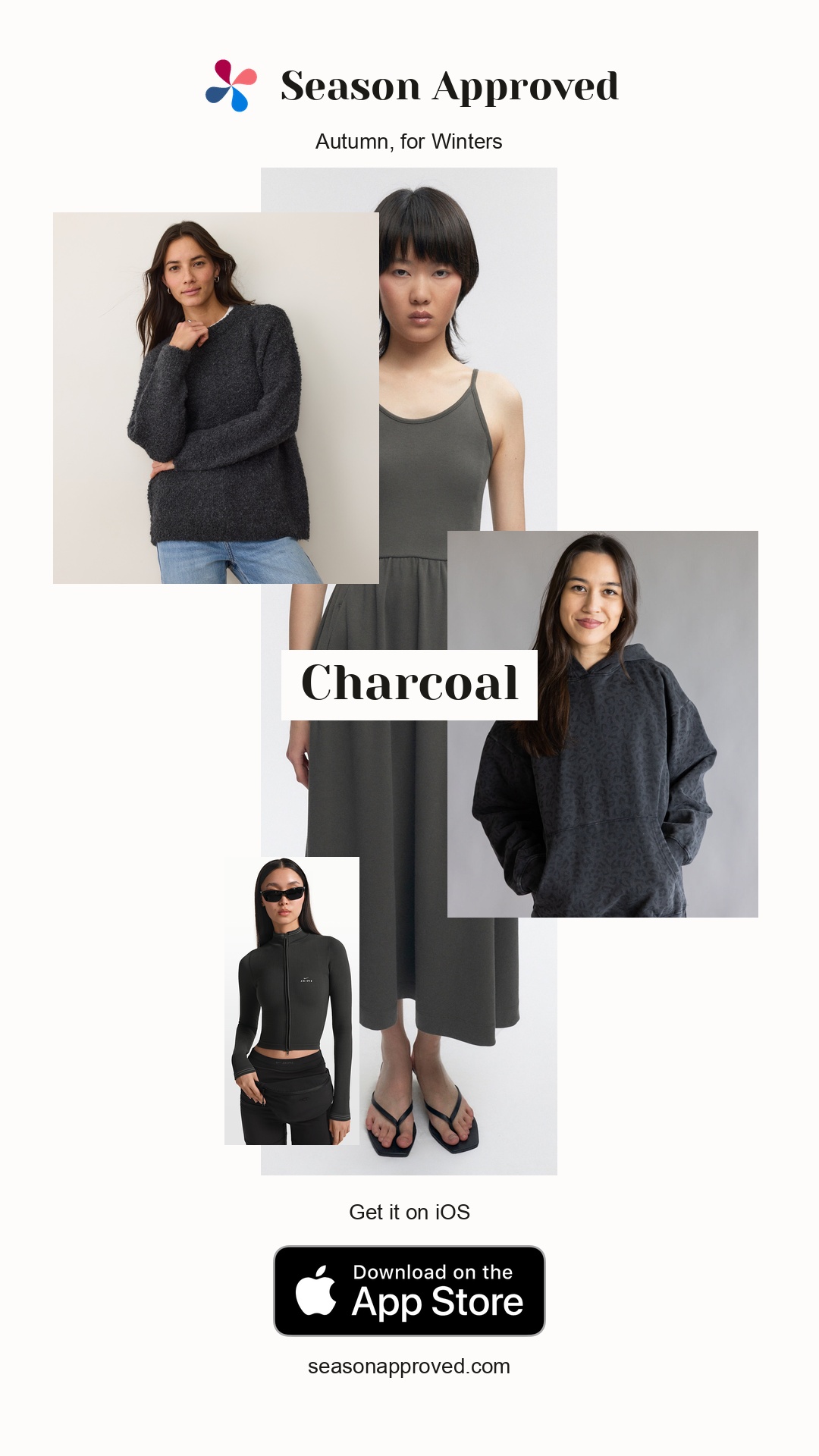 Winter Charcoal Outfit: Women's Ballet Dress in Beluga