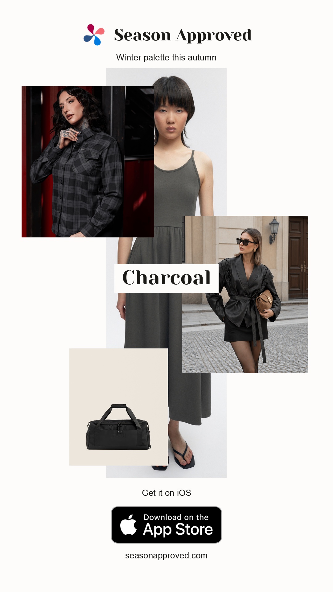 Winter Charcoal Outfit: Women's Ballet Dress in Beluga