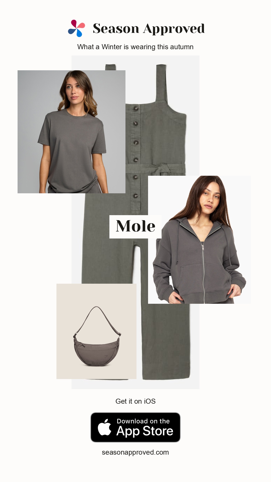 Winter Workwear & Professional Office Outfit Formulas