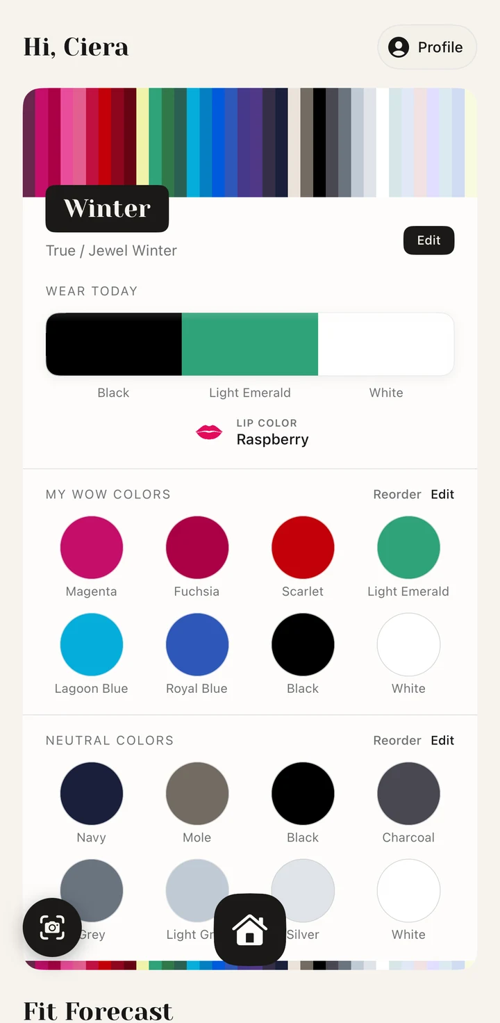 Home screen showing a full Winter palette, today’s three-color formula, and wow colors